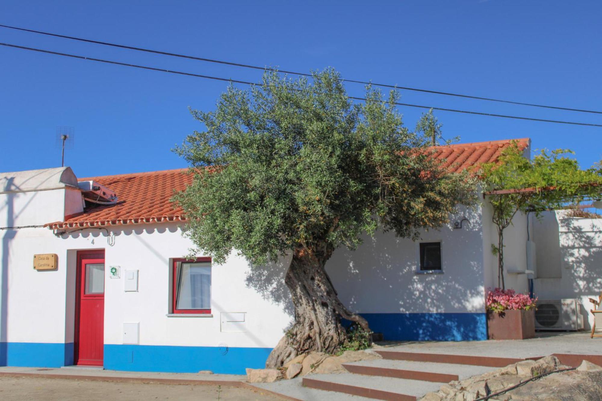 Sao Bras Do Regedouro - Turismo Na Aldeia Villa Евора Екстериор снимка